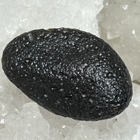 Tectite Noire main image 1