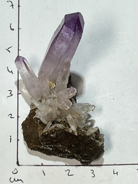 Améthyste Veracruz (Spécimen Rare Grade AA+ )