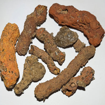 FULGURITE D'AMAZONIE avec inclusions DE QUARTZ (Rare)