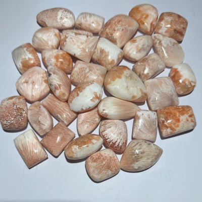 SCOLÉCITE AVEC STILBITE Grade A