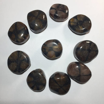 CHIASTOLITE