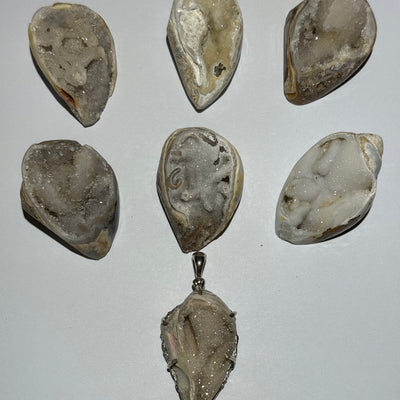 COQUILLAGE CRISTALLISÉ SPIRALITE