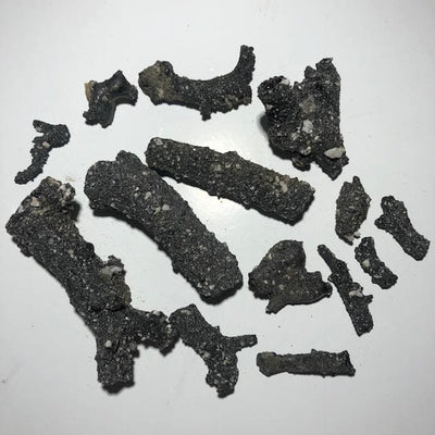 FULGURITE RACINE NOIRE JOSHUA ( Très Rare)