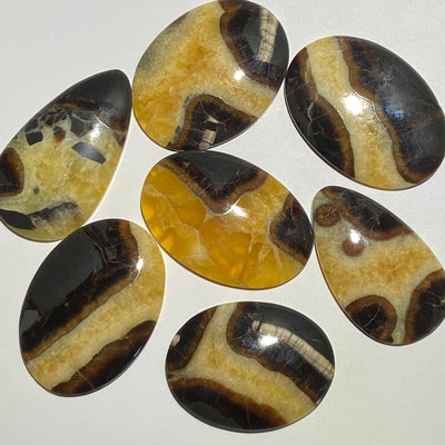 SIMBIRCITE