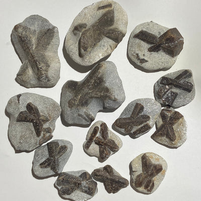 STAUROLITE (Russie)