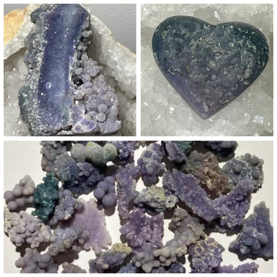 AGATE RAISIN
