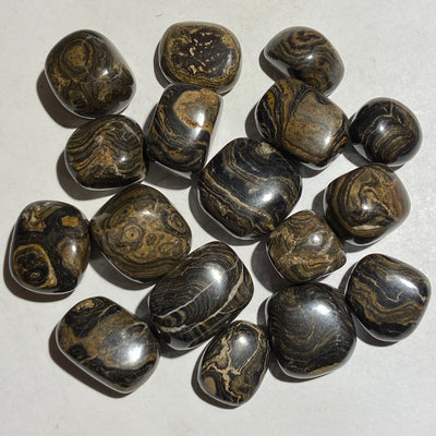 STROMATOLITE