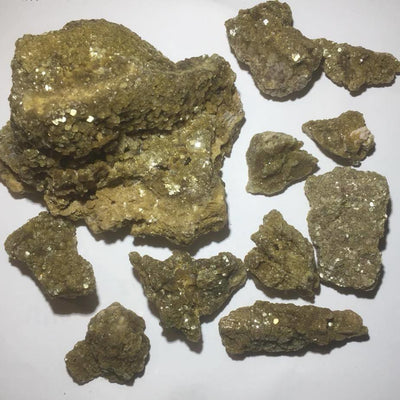Muscovite