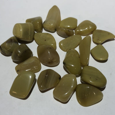 OPALE OLIVE