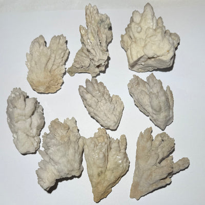 QUARTZ NAZCA (Rare)