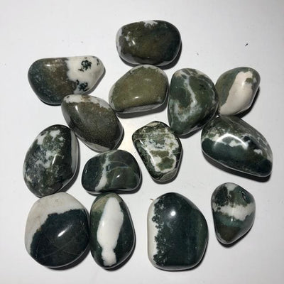 SARDONYX VERTE