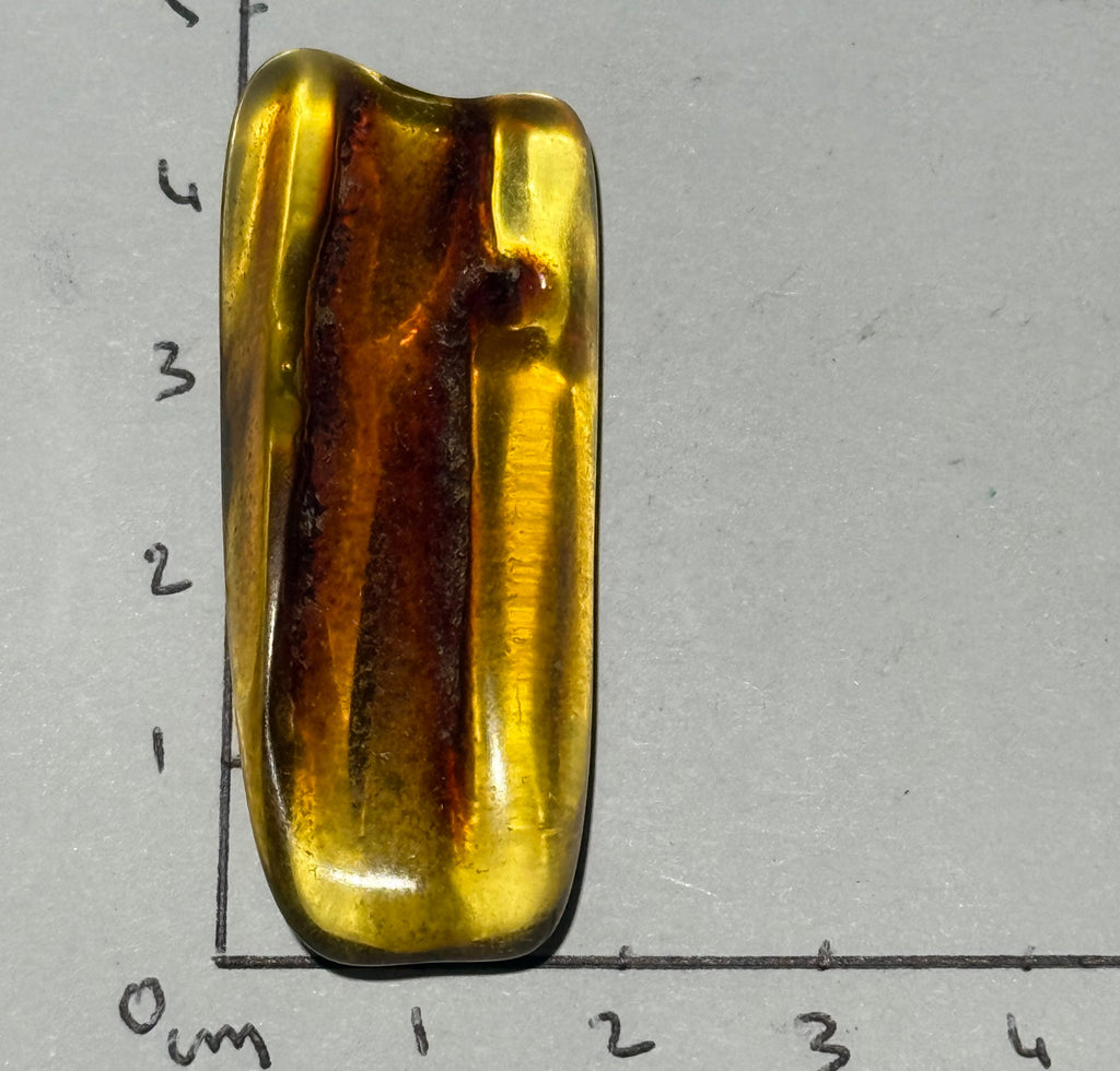 Ambre Baltique oasis de cristal