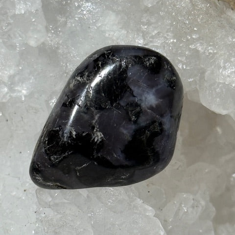 Gabbro Indigo ( Merlinite Mystique)