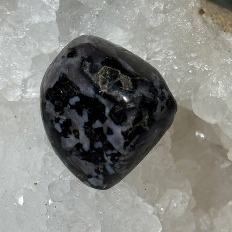 Gabbro Indigo ( Merlinite Mystique)