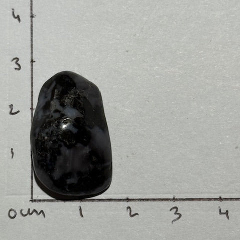 Gabbro Indigo ( Merlinite Mystique)