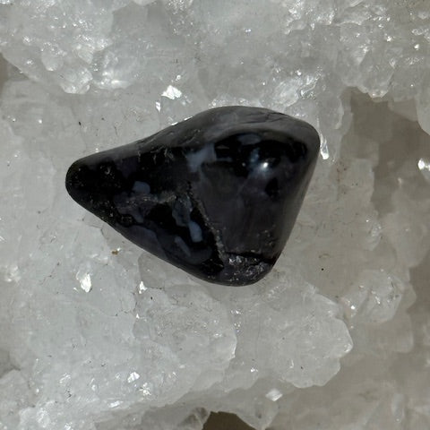 Gabbro Indigo ( Merlinite Mystique)