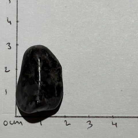 Gabbro Indigo ( Merlinite Mystique)