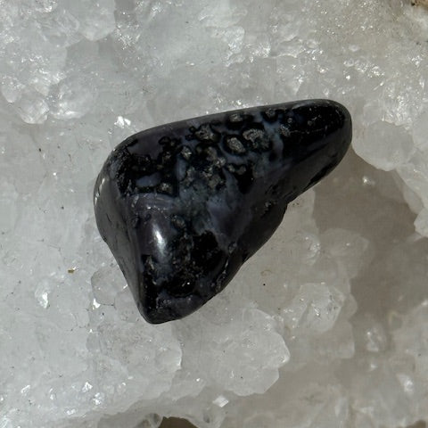 Gabbro Indigo ( Merlinite Mystique)