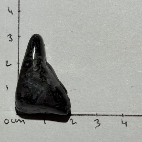 Gabbro Indigo ( Merlinite Mystique)