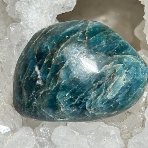 Apatite Bleue oasis de cristal