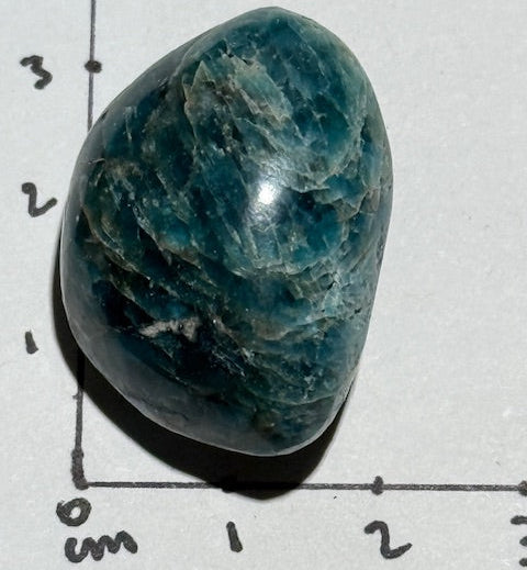 Apatite Bleue oasis de cristal