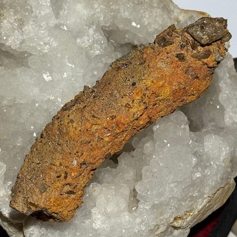 Fulgurite d’Amazonie avec inclusions de quartz