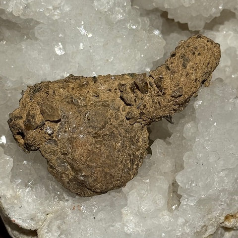 Fulgurite d’Amazonie avec inclusions de quartz