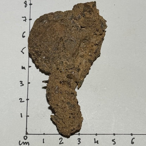 Fulgurite d’Amazonie avec inclusions de quartz