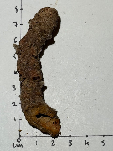 Amazonian fulgurite with quartz inclusions