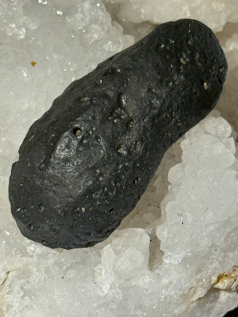 Fossilized Whale Inner Ear