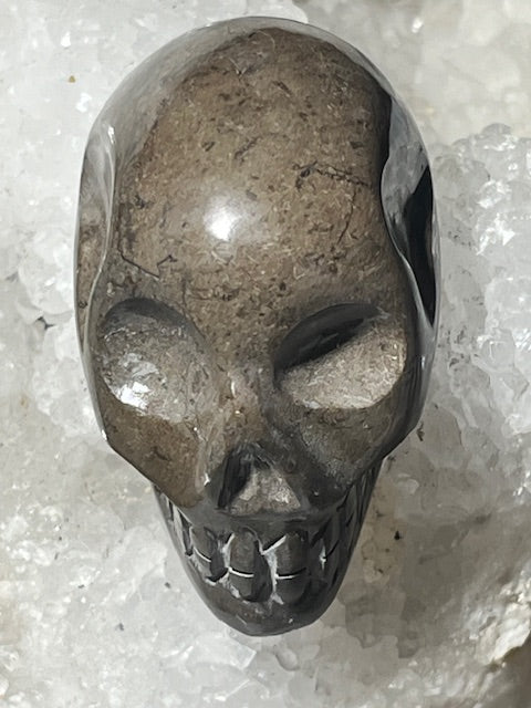 Shamanite Skull