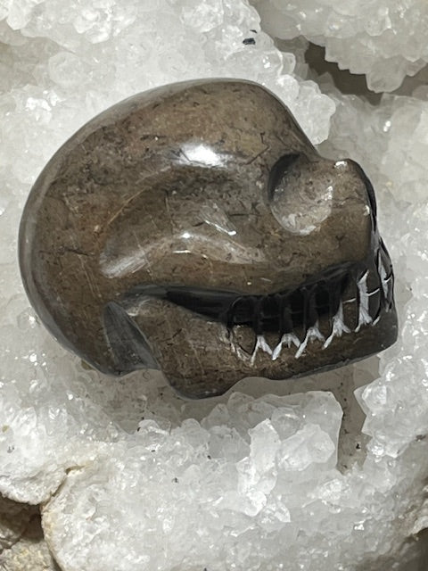 Shamanite Skull