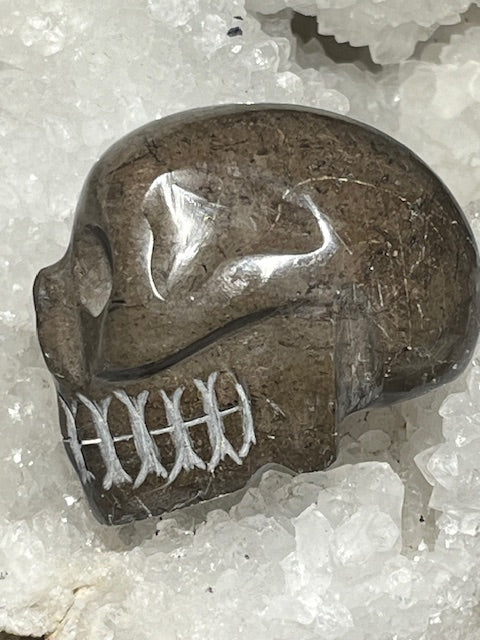 Shamanite Skull