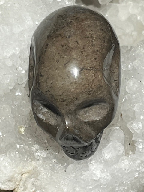 Shamanite Skull