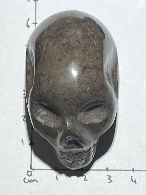 Shamanite Skull