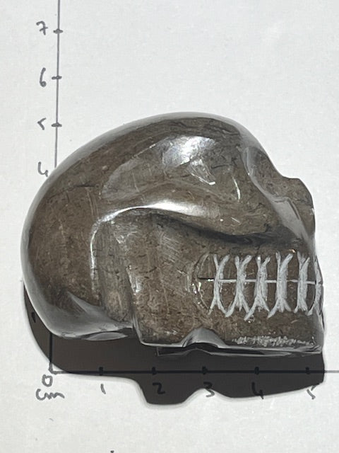 Shamanite Skull