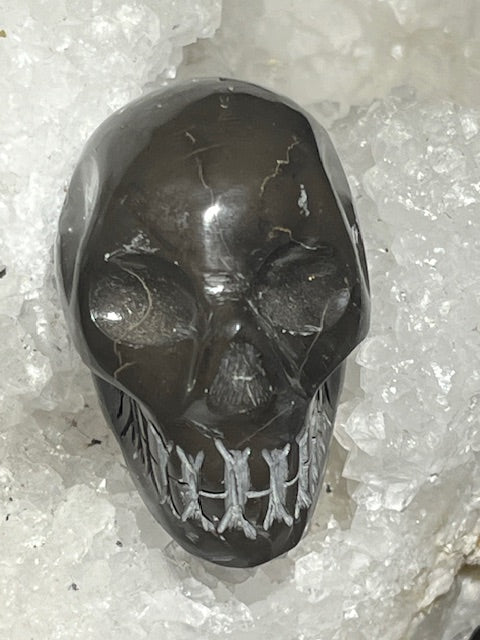 Shamanite Skull