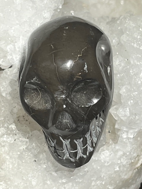 Shamanite Skull