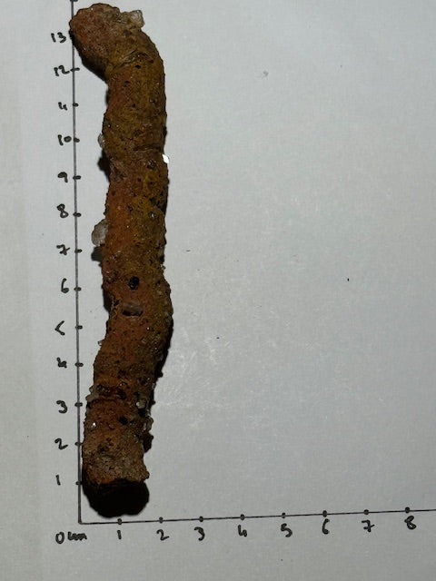 Amazonian fulgurite with quartz inclusions