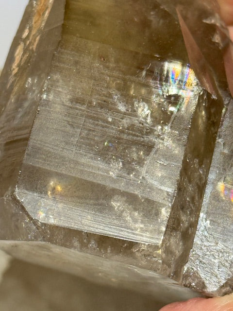 Natural Citrine Point Tantric Twin