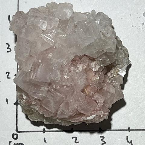 Halite OASIS DE CRISTAL 