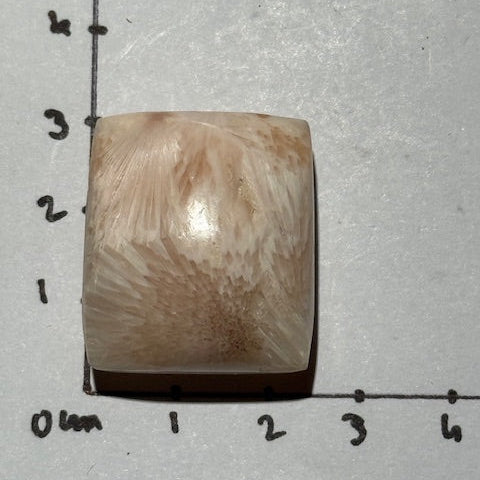 Scolécite avec Stilbite