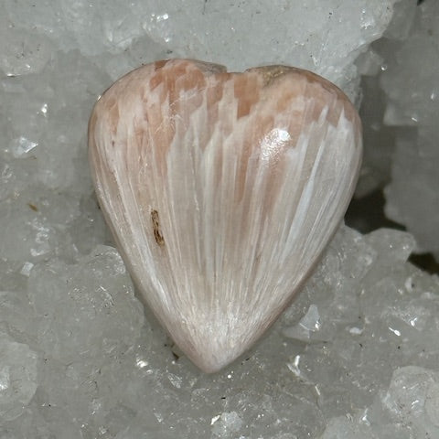 Scolécite avec Stilbite