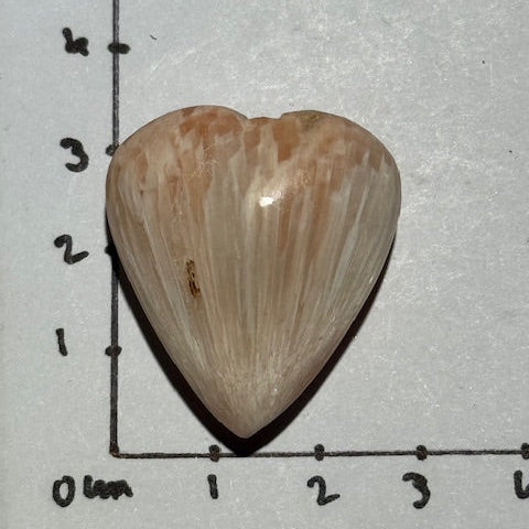 Scolécite avec Stilbite