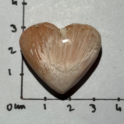 Scolécite avec Stilbite