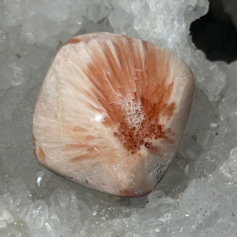 Scolécite avec Stilbite