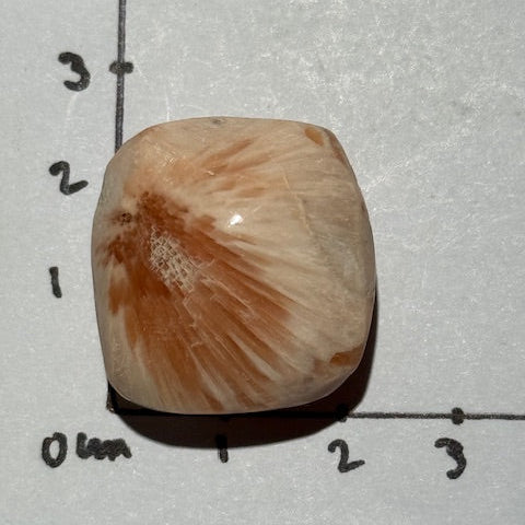 Scolécite avec Stilbite