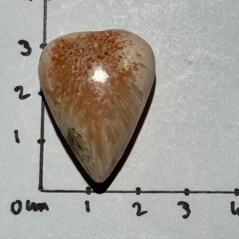 Scolécite avec Stilbite