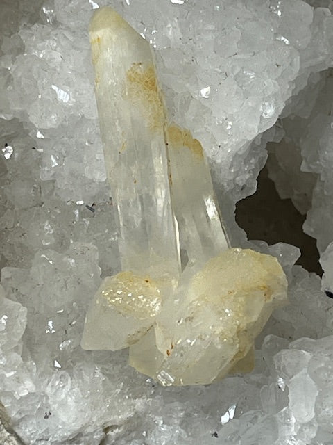 Quartz Mango