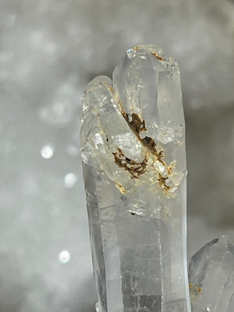 Quartz Mango